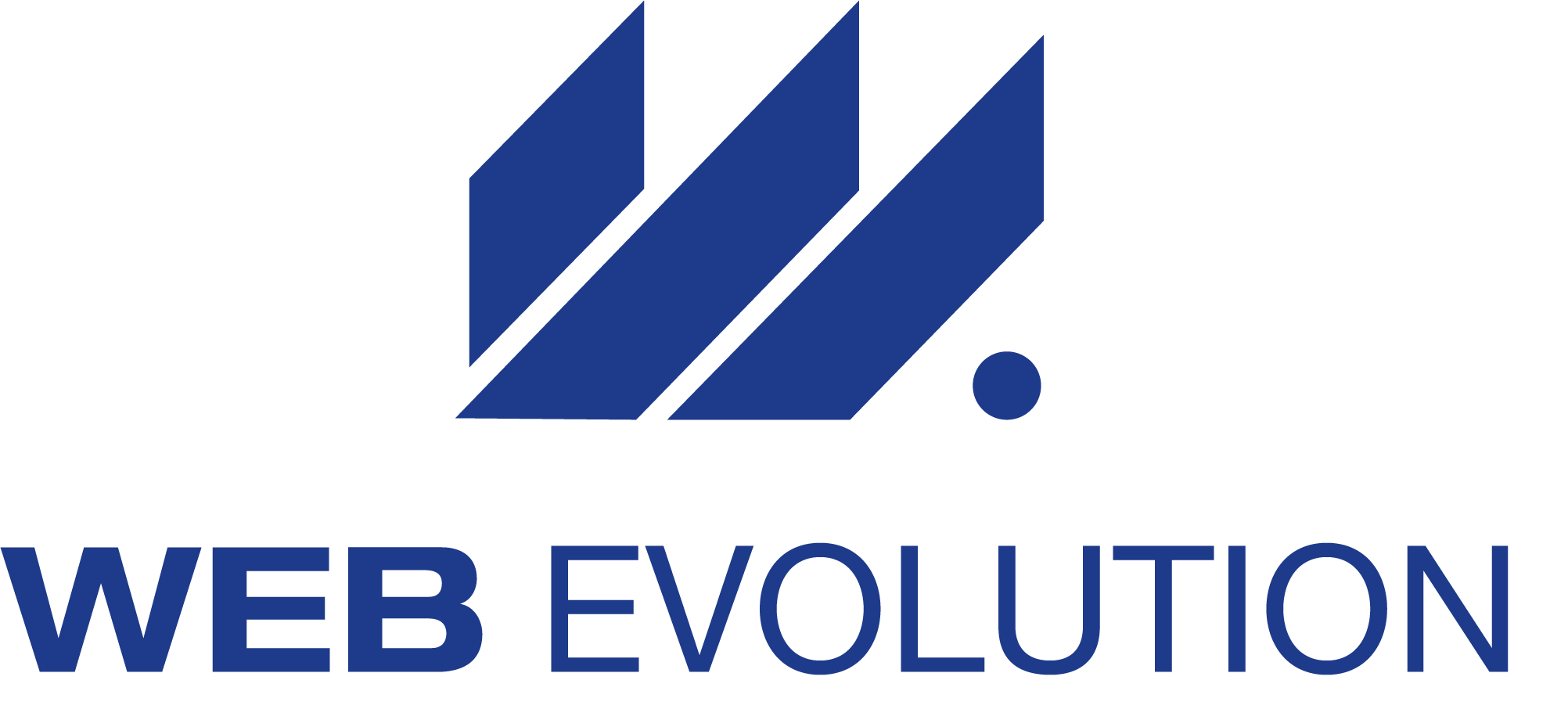 webevolution.site